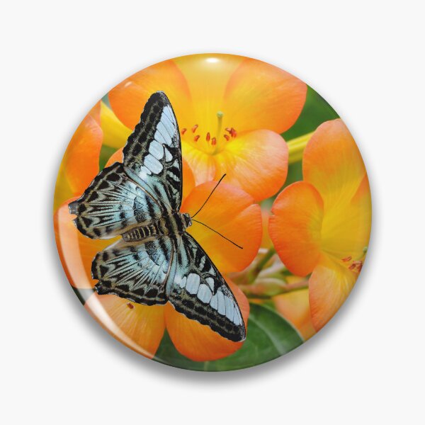 Artikelvorschau, Ein blauer Schmetterling bestäubt Rhododendron simbu Sonnenuntergang Blumen entworfen und verkauft von Peter Etchells.