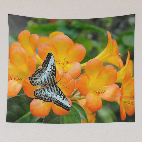 Item preview, A blue butterfly pollinating Rhododendron simbu sunset flowers designed and sold by Peter Etchells.