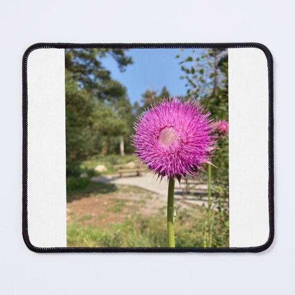Item preview, Colorado flower  designed and sold by ariart15.