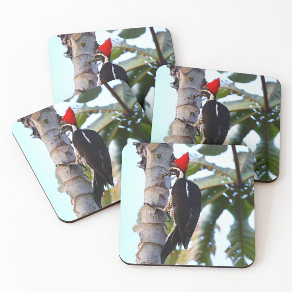Item preview, Panama Lineated Woodpecker on Tree Alvaro Miranda Photography designed and sold by Alvaro-Miranda.