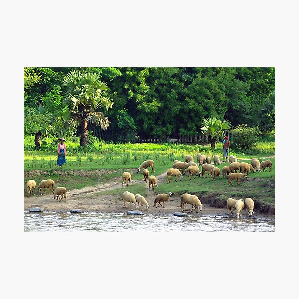 Artikelvorschau, Life along the peaceful Irrawaddy River, Burma. entworfen und verkauft von Darius4522.