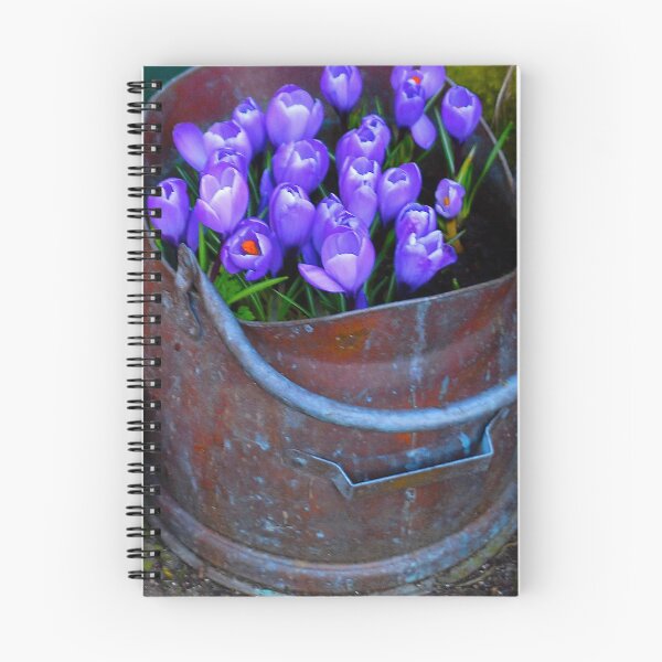 Item preview, Spring patio bulbs designed and sold by keithmilligan.