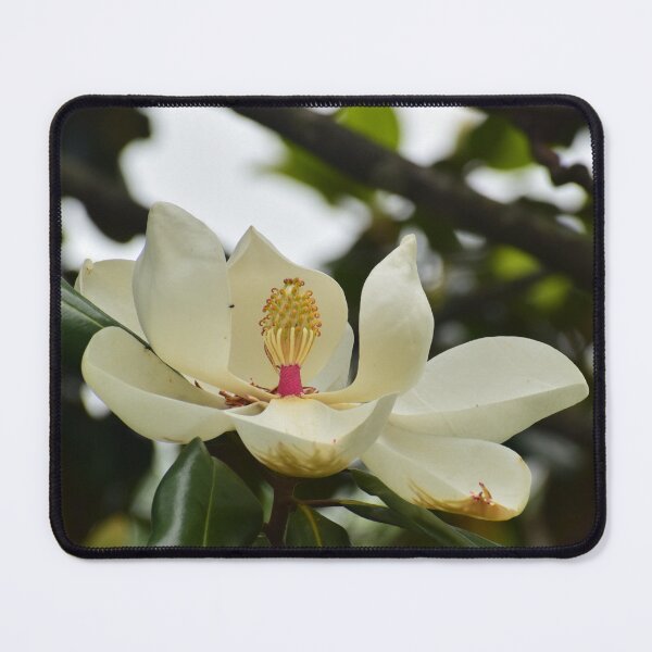 Item preview, Magnolia designed and sold by SpareRoomArts.