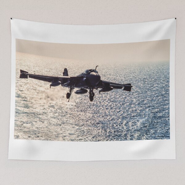 Item preview, Intruder landing designed and sold by Zolachrome Photography.