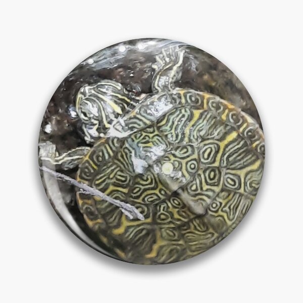 Item preview, Small Green Turtle designed and sold by AdelbernDesigns.