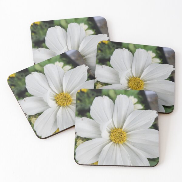 Item preview, Petal against the world designed and sold by MinaBohl.