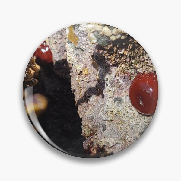 Item preview, Life Under Irish Waters designed and sold by MinaBohl.