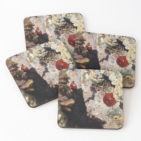 Item preview, Life Under Irish Waters designed and sold by MinaBohl.