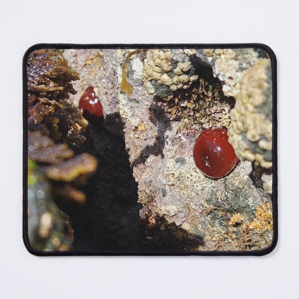 Item preview, Life Under Irish Waters designed and sold by MinaBohl.