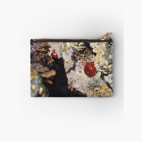 Item preview, Life Under Irish Waters designed and sold by MinaBohl.