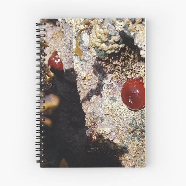 Item preview, Life Under Irish Waters designed and sold by MinaBohl.