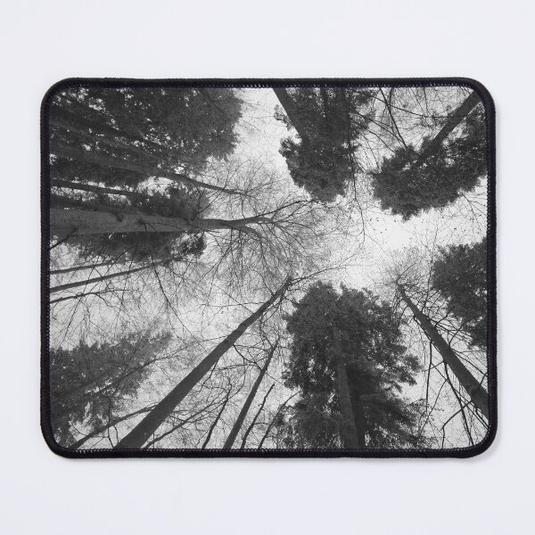 Item preview, Tree in depth perspective, black white, birch tree designed and sold by Myartspace.