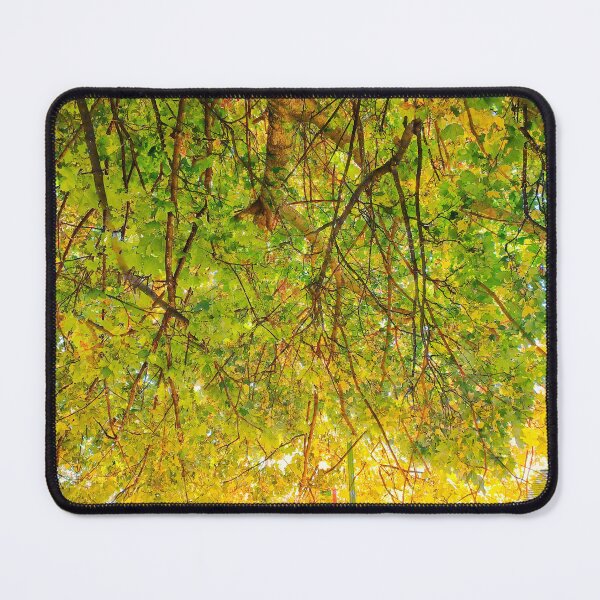 Item preview, A swing under a tree! designed and sold by dawnsm.