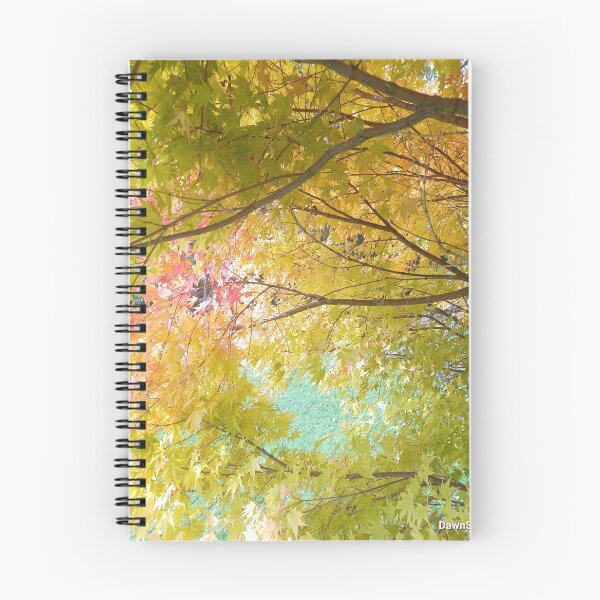 Item preview, Trees are abundant! designed and sold by dawnsm.