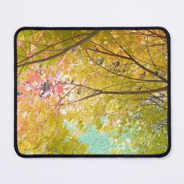 Item preview, Trees are abundant! designed and sold by dawnsm.