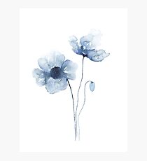 Blue Watercolor Poppies Photographic Print