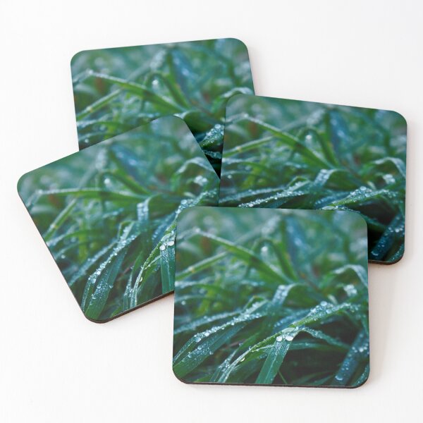 Item preview, Water dropplets on grass blades designed and sold by Emily Bodden Art.