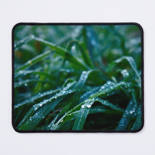 Item preview, Water dropplets on grass blades designed and sold by Emily Bodden Art.