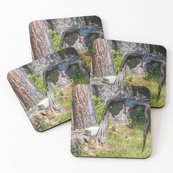 Item preview, Turkey Vulture Flying out of a Forest designed and sold by jrtwynam.
