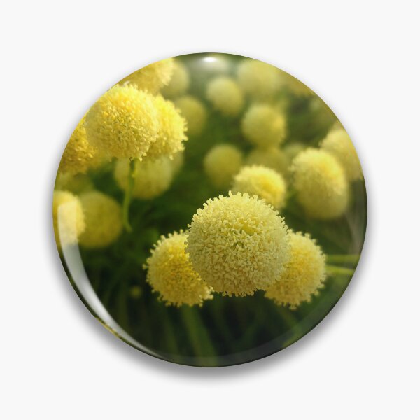 Artikelvorschau, Secret Garden Magic - Gelbe Pompon-Blumen entworfen und verkauft von TrishAbyss.