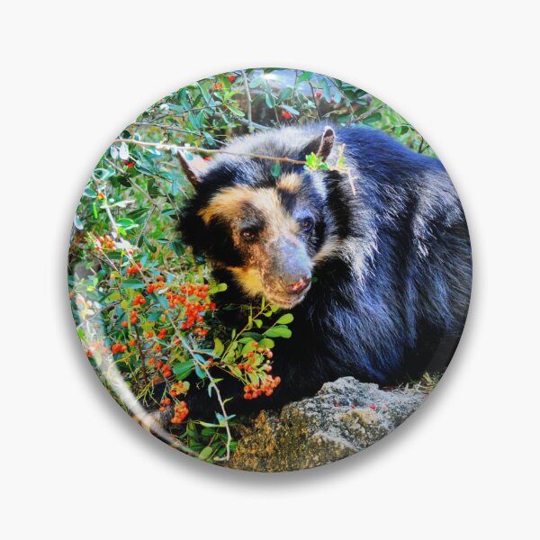 Item preview, Bear  designed and sold by Savannah Gibbs.