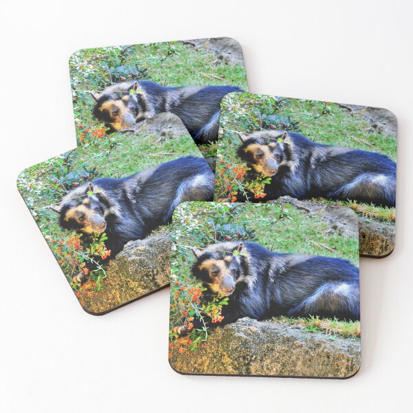 Item preview, Bear  designed and sold by Savannah Gibbs.