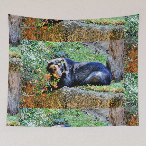 Item preview, Bear  designed and sold by Savannah Gibbs.