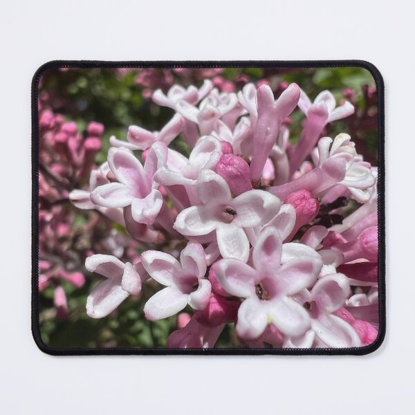 Item preview, Pink Lilacs designed and sold by Betsy Phillips.