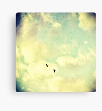 Two Birds in the sky Canvas Print
