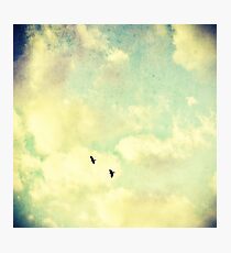 Two Birds in the sky Photographic Print
