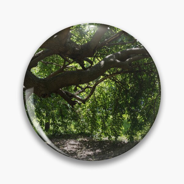 Item preview, Unusual Mulberry Tree With Horizontal Limbs Creating Green Biophilic Shelter designed and sold by Georgia Mizuleva.