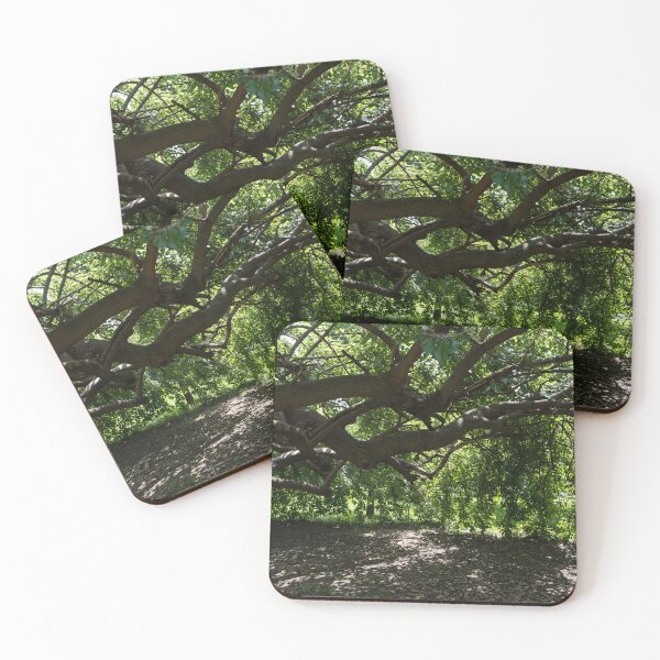 Item preview, Unusual Mulberry Tree With Horizontal Limbs Creating Green Biophilic Shelter designed and sold by Georgia Mizuleva.