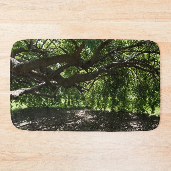 Item preview, Unusual Mulberry Tree With Horizontal Limbs Creating Green Biophilic Shelter designed and sold by Georgia Mizuleva.