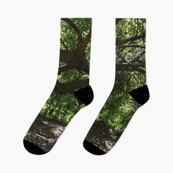 Item preview, Unusual Mulberry Tree With Horizontal Limbs Creating Green Biophilic Shelter designed and sold by Georgia Mizuleva.