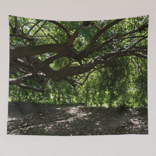 Item preview, Unusual Mulberry Tree With Horizontal Limbs Creating Green Biophilic Shelter designed and sold by Georgia Mizuleva.