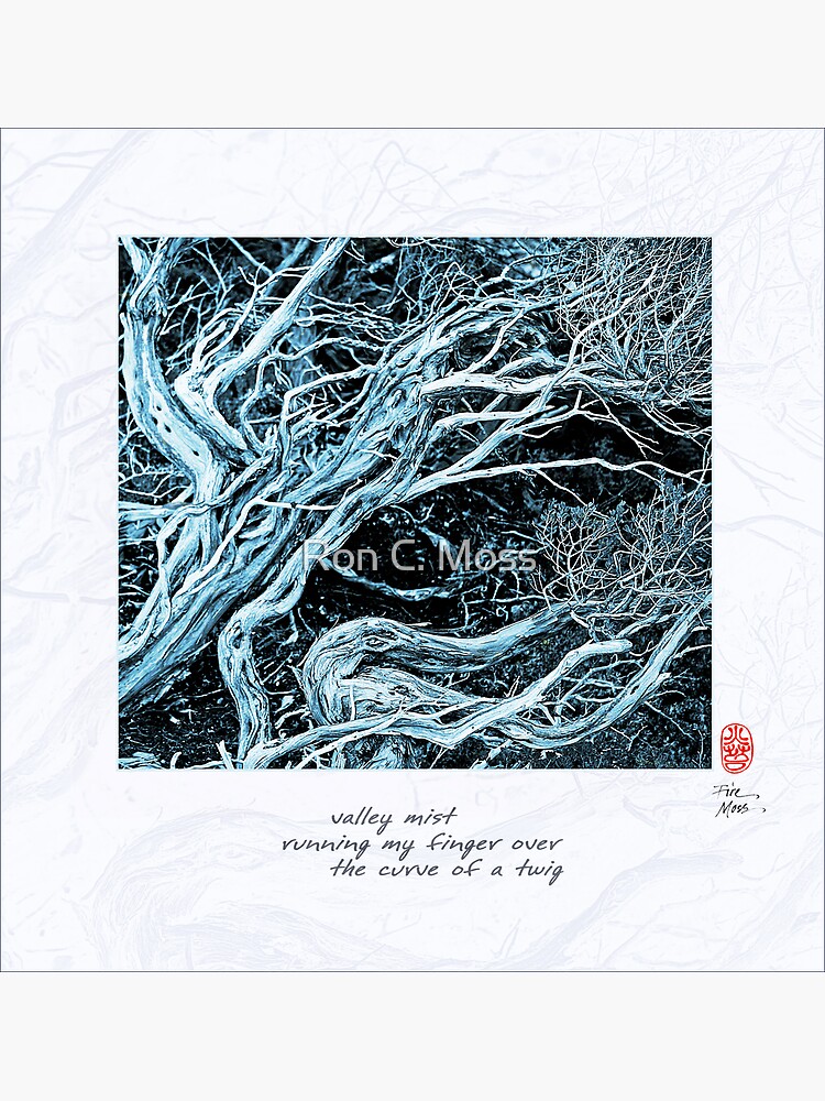 Thumbnail 2 of 2, Postcard, Valley Mist designed and sold by Ron C. Moss.