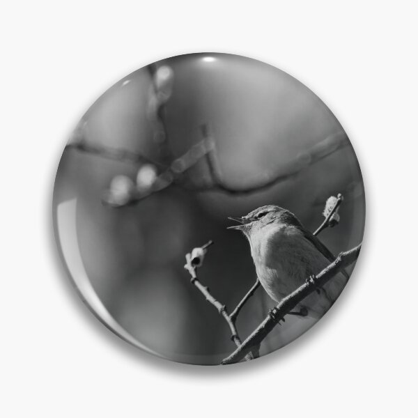 Item preview, Chiff chaff zilt zalt. Chiffchaff bw designed and sold by Jouko Lehto Photography.