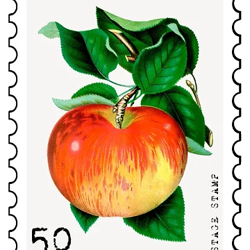 Artwork thumbnail, Apple Stamp by RabbitK