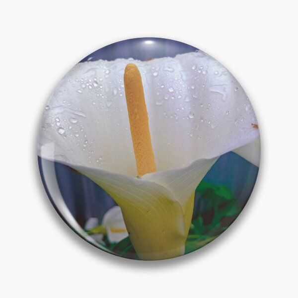 Item preview, Calla Lillies in the Rain - Eaglehawk, Victoria, Australia designed and sold by Steven Jodoin.
