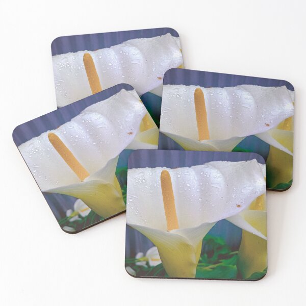 Item preview, Calla Lillies in the Rain - Eaglehawk, Victoria, Australia designed and sold by Steven Jodoin.