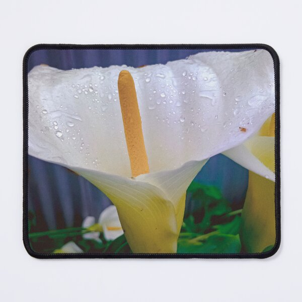 Item preview, Calla Lillies in the Rain - Eaglehawk, Victoria, Australia designed and sold by Steven Jodoin.