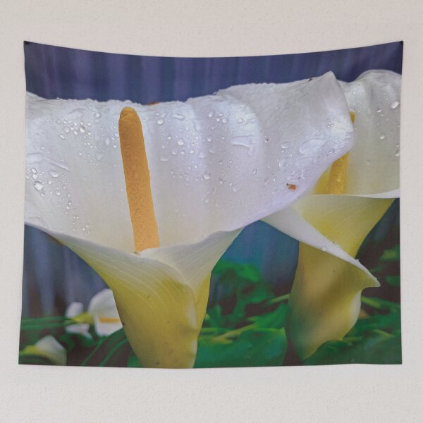 Item preview, Calla Lillies in the Rain - Eaglehawk, Victoria, Australia designed and sold by Steven Jodoin.