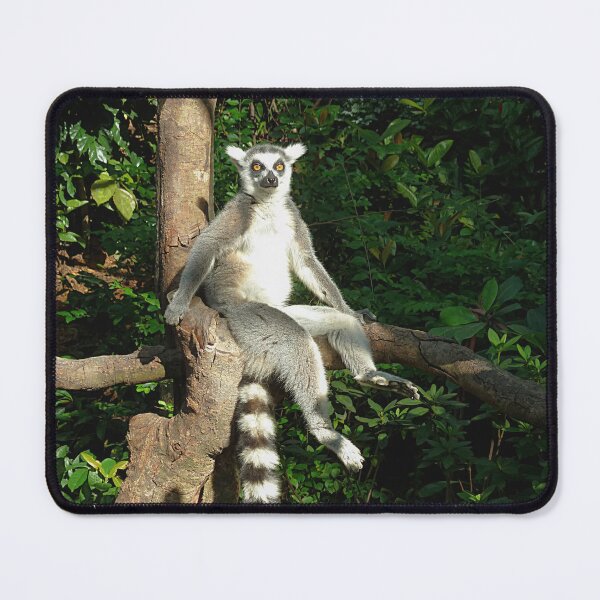 Item preview, Ring tailed Ringtailed Lemur in Tree designed and sold by Linda Walsh.