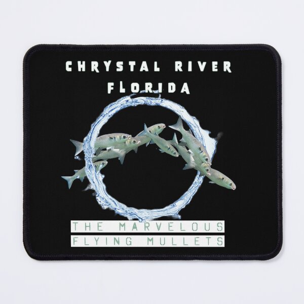 Item preview, The marvelous flying mullet striped mullet of crystal river, Florida designed and sold by TheBruce77.