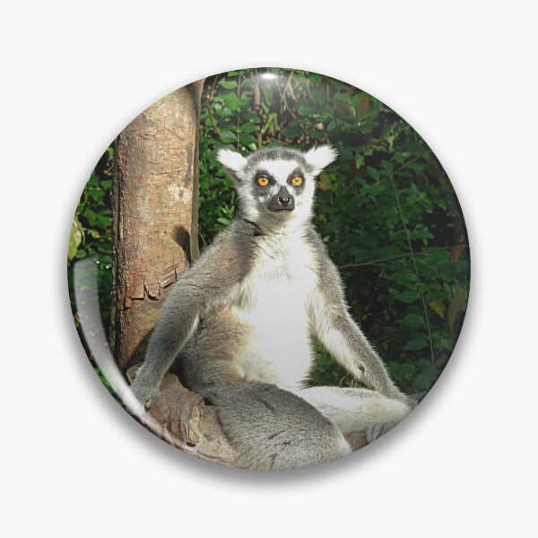 Item preview, Ring tailed Ringtailed Lemur in Tree designed and sold by Linda Walsh.