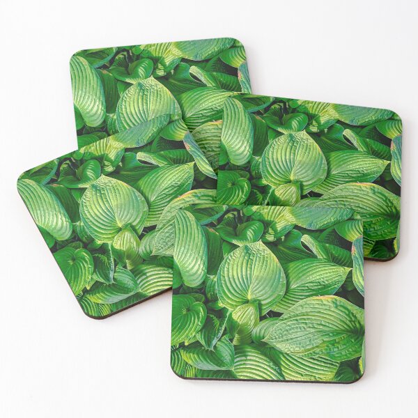 Item preview, Green Broadleafed Leaves at the Conservatory Gardens - Bendigo, Victoria, Australia designed and sold by Steven Jodoin.