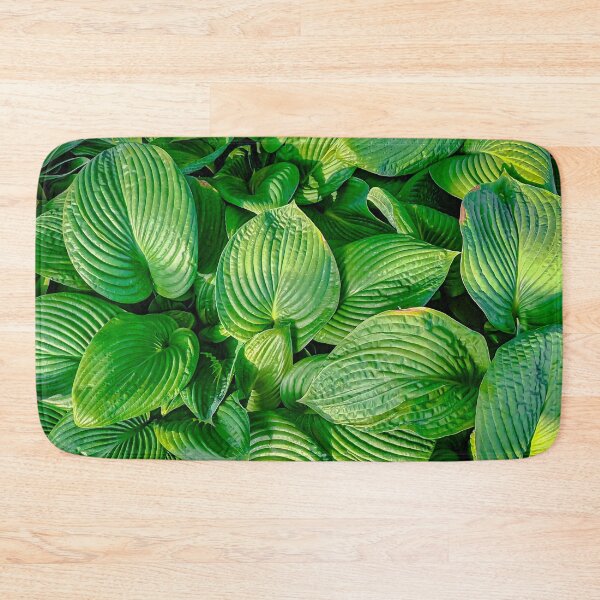 Item preview, Green Broadleafed Leaves at the Conservatory Gardens - Bendigo, Victoria, Australia designed and sold by Steven Jodoin.