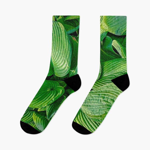 Item preview, Green Broadleafed Leaves at the Conservatory Gardens - Bendigo, Victoria, Australia designed and sold by Steven Jodoin.