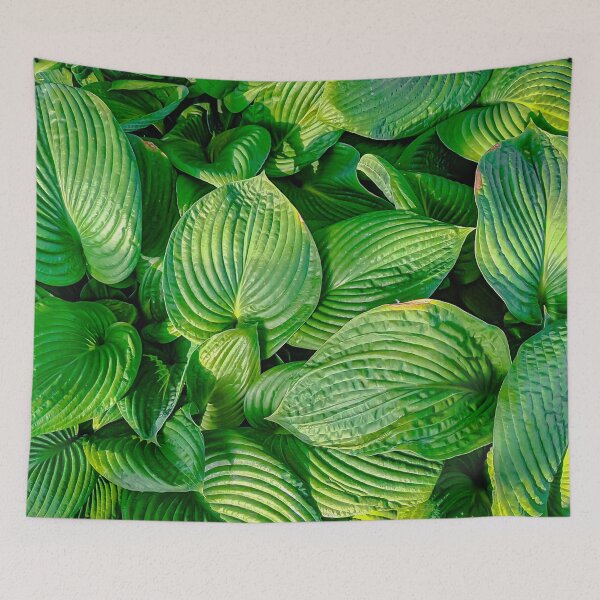 Item preview, Green Broadleafed Leaves at the Conservatory Gardens - Bendigo, Victoria, Australia designed and sold by Steven Jodoin.