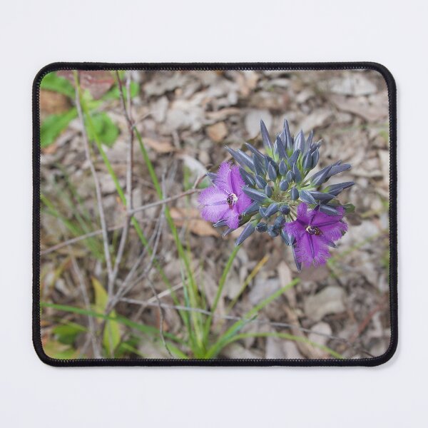Item preview, Wildflower of Western Australia with Bees designed and sold by Mark ODwyer.